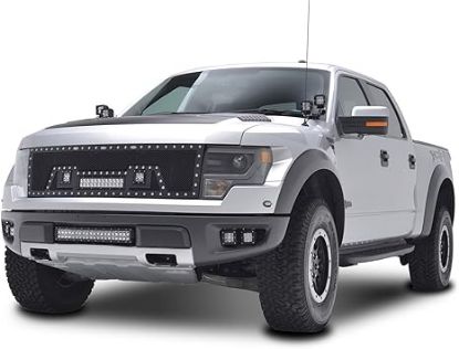 صورة شبك فورد  F150 2010-2014
