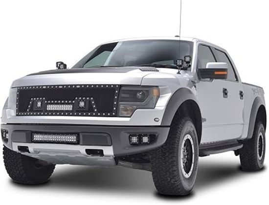 صورة شبك فورد  F150 2010-2014