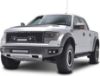 صورة شبك FORD F150 2010-2014